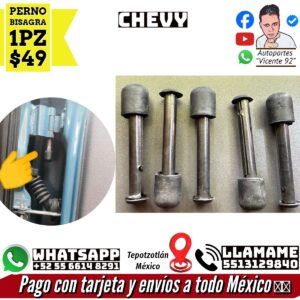 Perno Bisagra 1 Pz