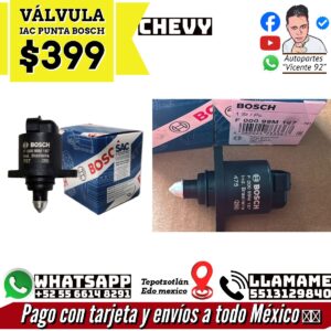 Valvula IAC Punta Bosch